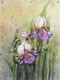 Gallery: Batik Irises -  22 x 30