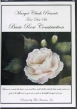 Basic Rose Construction DVD