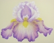 Shaded Wash Iris Tutorial